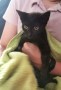 Poppy (4)